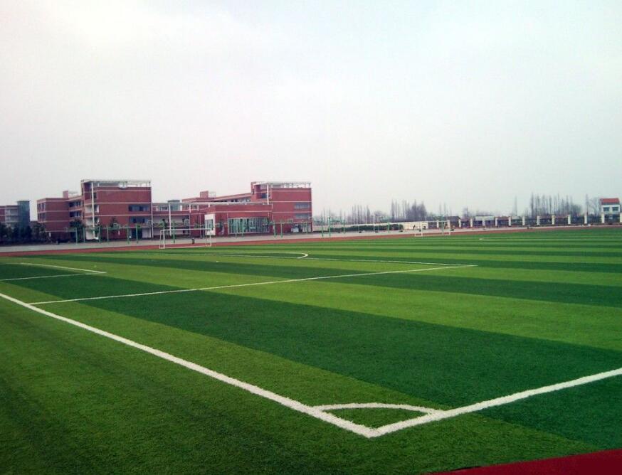 人造草坪足球場(chǎng)案例展示