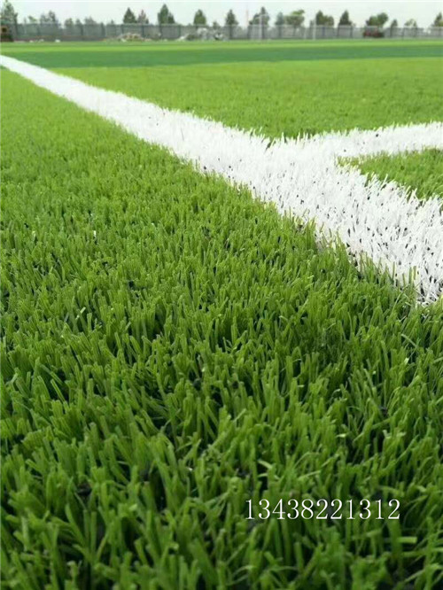 草坪足球場系列